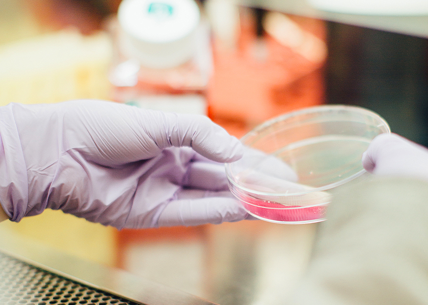 Fine Chemicals: Product Information